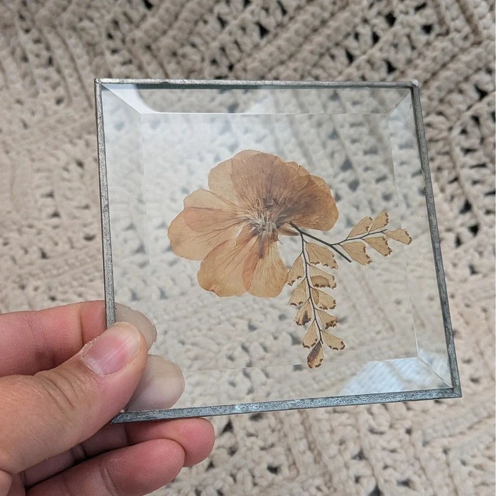 Vintage Pressed Dried Flower Glass Coasters Set of 4 Beveled Metal Edge 4x4
